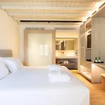 Apartment Fabrikas Mykonos Town